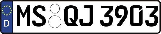 MS-QJ3903