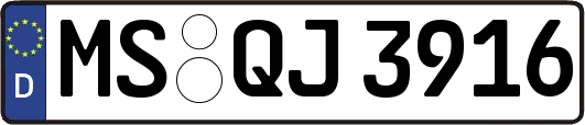 MS-QJ3916