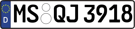 MS-QJ3918