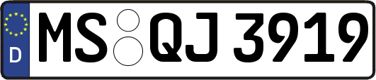 MS-QJ3919