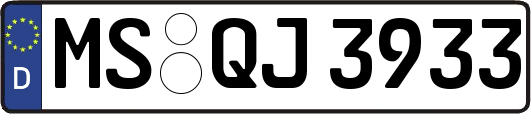 MS-QJ3933