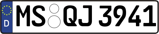 MS-QJ3941