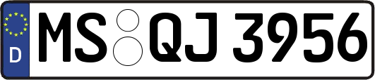 MS-QJ3956