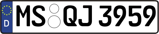 MS-QJ3959