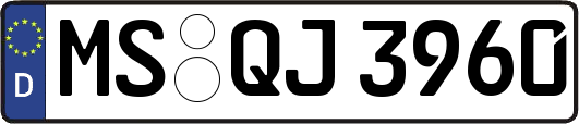 MS-QJ3960