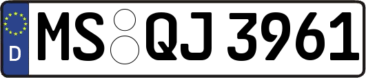 MS-QJ3961