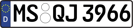 MS-QJ3966