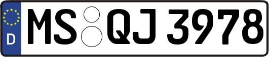 MS-QJ3978