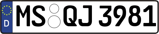 MS-QJ3981