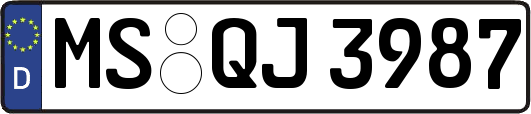 MS-QJ3987