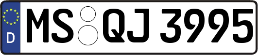 MS-QJ3995