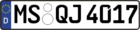 MS-QJ4017