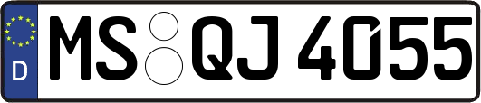 MS-QJ4055