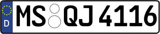 MS-QJ4116