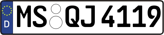 MS-QJ4119