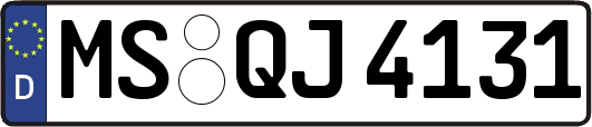 MS-QJ4131