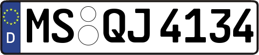 MS-QJ4134