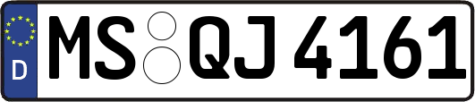 MS-QJ4161