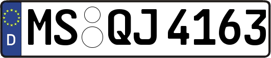 MS-QJ4163