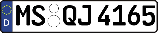 MS-QJ4165