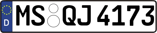MS-QJ4173