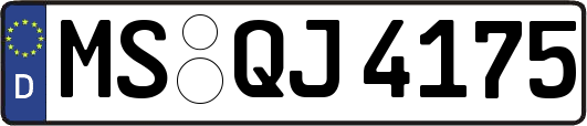 MS-QJ4175
