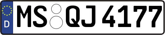 MS-QJ4177