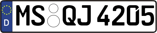 MS-QJ4205
