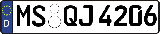 MS-QJ4206