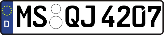 MS-QJ4207