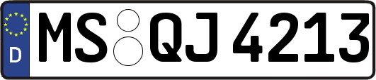 MS-QJ4213
