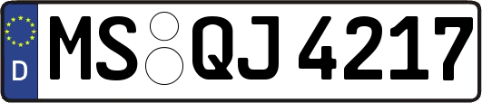 MS-QJ4217