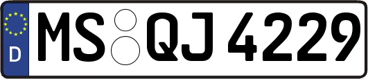 MS-QJ4229