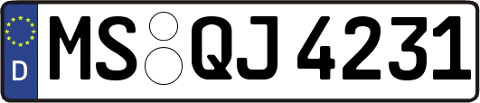 MS-QJ4231