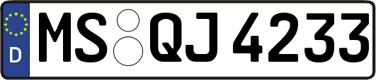 MS-QJ4233