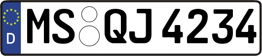 MS-QJ4234