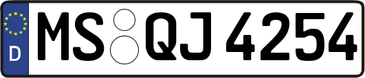 MS-QJ4254