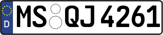 MS-QJ4261