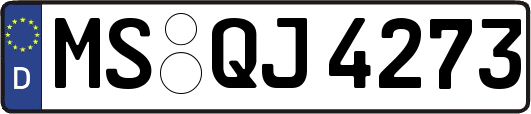 MS-QJ4273