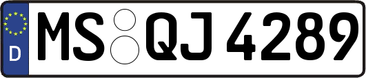 MS-QJ4289