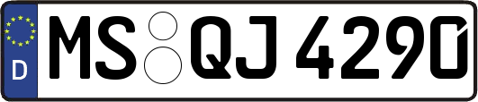 MS-QJ4290