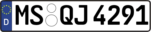 MS-QJ4291