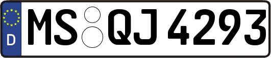 MS-QJ4293