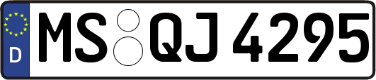 MS-QJ4295