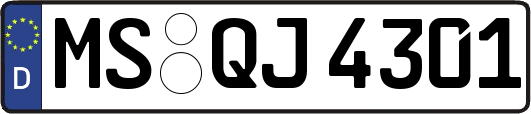 MS-QJ4301
