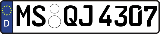 MS-QJ4307