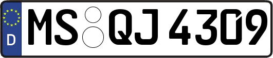 MS-QJ4309