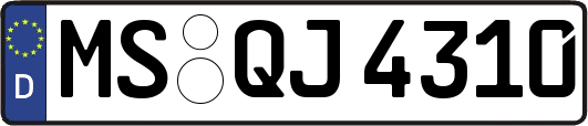MS-QJ4310