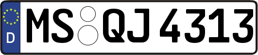MS-QJ4313