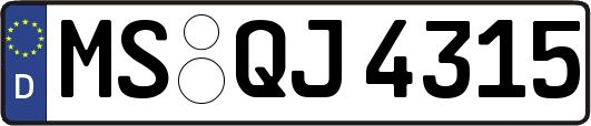 MS-QJ4315